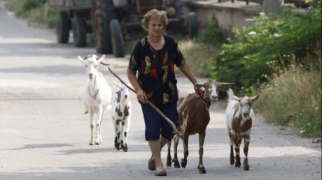 Обезлюдяването на българските села в цифри  pic